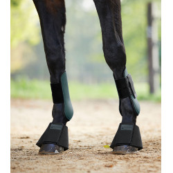 Waldhausen Basic peesbeschermers per 2 Donkergroen / zwart