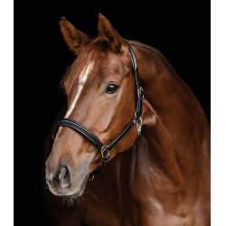 Licol en cuir Waldhausen Classy X-Line Noir / argent Licol en cuir Waldhausen Classy X-Line Noir / argent