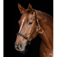 Lederen halster Waldhausen Classy X-Line Bruin / goudkleurig