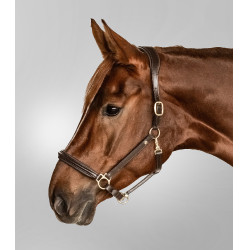 Lederen halster Waldhausen Classy X-Line Bruin / goudkleurig