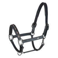Licol en cuir Waldhausen Crsytal X-Line Noir / gris Licol en cuir Waldhausen Crsytal X-Line Noir / gris