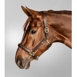 Lederen halster Waldhausen Crystal X-Line Bruin / goud