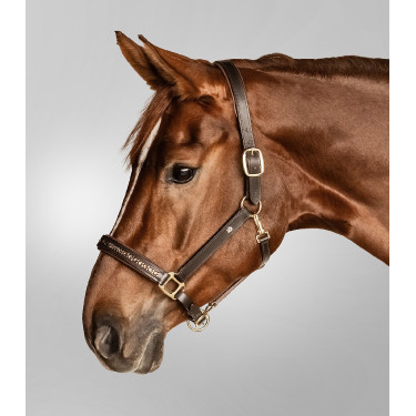 Lederen halster Waldhausen Crystal X-Line Bruin / goud