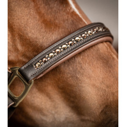 Lederen halster Waldhausen Crystal X-Line Bruin / goud