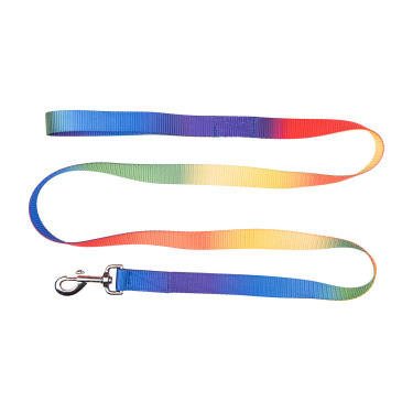 Longe Arc-en-ciel Waldhausen Arc en ciel Multi-couleurs