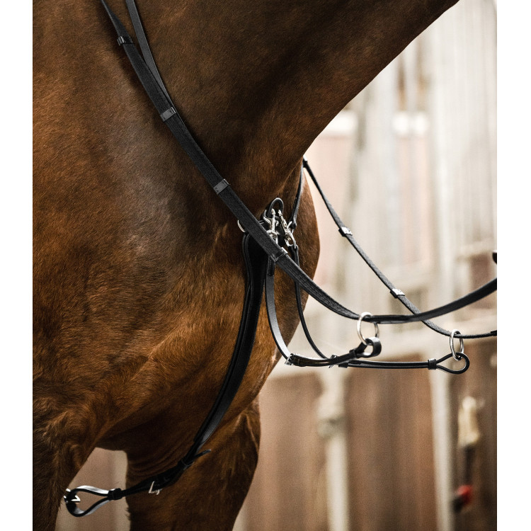 Martingale Waldhausen Professional X-Line Martingale Waldhausen Professional X-Line