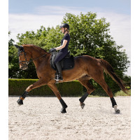 Zadeldek Waldhausen Rimini Zwart Zadeldek Waldhausen Rimini Zwart