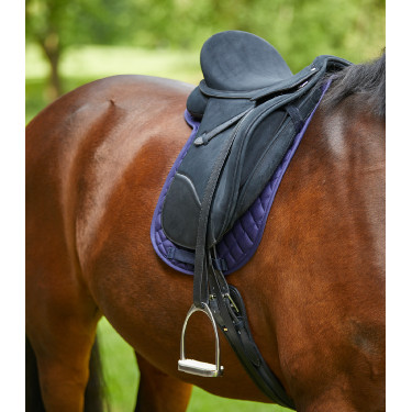 Zadeldekje Waldhausen Star Blauw