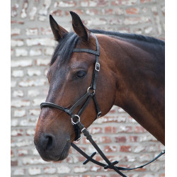 Bitloos hoofdstel Linda Tellington-Jones Zwart Bitloos hoofdstel Linda Tellington-Jones Zwart