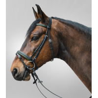 Bridon Star Diamond Noir