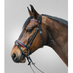 Bridon Star Diamond Fuschia