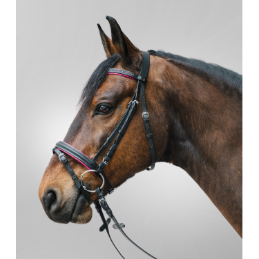 Bridon Star Diamond Fuschia