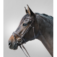 Bridon Star Lifestyle Bruin Bridon Star Lifestyle Bruin