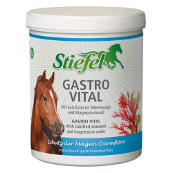 Gastro Vital Laarzen