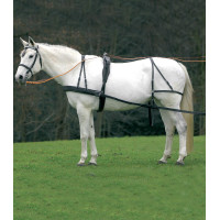 Harnais Star simple Economic de cob à grand cheval Noir Harnais Star simple Economic de cob à grand cheval Noir