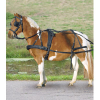 Harnais synthétique simple Star poney shetland Noir