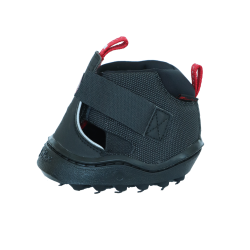 Hipposandales de trekking Equine Fusion® Noir