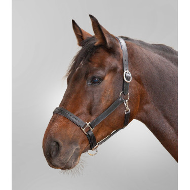 Lederen halster Star Diamond Lederen halster Star Diamond