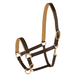 Licol cuir Star Diamond Marron / or Licol cuir Star Diamond Marron / or