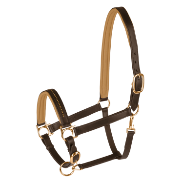 Licol cuir Star Diamond Marron / or Licol cuir Star Diamond Marron / or