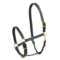 Licol cuir Star Robust Noir