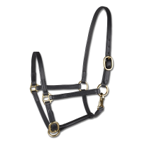 Licol de présentation cuir Star poulain Noir