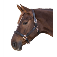 Halster Star Mix Bruin / roségoud Halster Star Mix Bruin / roségoud