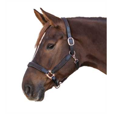 Halster Star Mix Bruin / roségoud