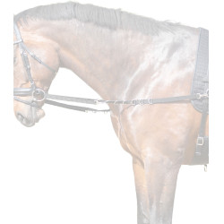 Rênes fixe en nylon Star Noir