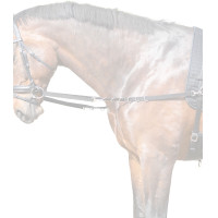 Vaste nylon teugels Star Zwart