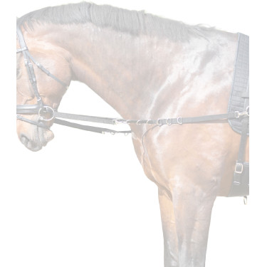 Vaste nylon teugels Star Zwart