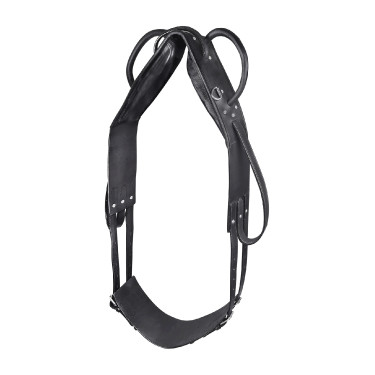 Surfaix Star voltige et longe Noir Surfaix Star voltige et longe Noir