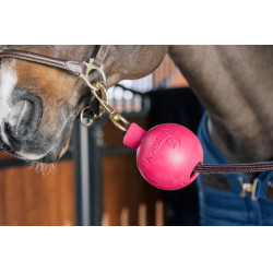 Balle protection d'attache Kentucky Rose pâle Balle protection d'attache Kentucky Rose pâle