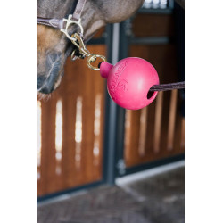 Balle protection d'attache Kentucky Rose pâle Balle protection d'attache Kentucky Rose pâle