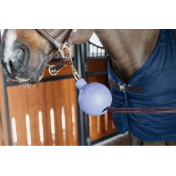 Balle protection d'attache Kentucky Lavande Violet