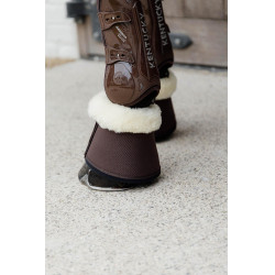 Schapenbellen Solimbra Kentucky Bruin Schapenbellen Solimbra Kentucky Bruin