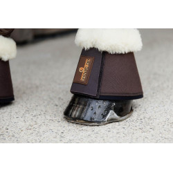 Schapenbellen Solimbra Kentucky Bruin Schapenbellen Solimbra Kentucky Bruin