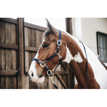 Gevlochten Nylon Longe Kentucky Gevlochten Nylon Longe Kentucky