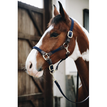 Gevlochten Nylon Longe Kentucky Gevlochten Nylon Longe Kentucky