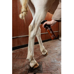 Détachant tâches vertes et poussière Amande Grooming Deluxe by Kentucky Détachant tâches vertes et poussière Amande Grooming Deluxe by Kentucky