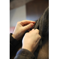 Elastieken Grooming Deluxe van Kentucky Natuurlijk Bruin