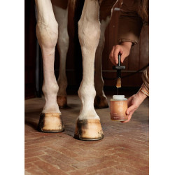 Voetolie Shine Grooming Deluxe van Kentucky Natuurlijk Bruin