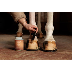 Huile pour Pieds Shine Grooming Deluxe by Kentucky Naturel Marron Huile pour Pieds Shine Grooming Deluxe by Kentucky Naturel Marron