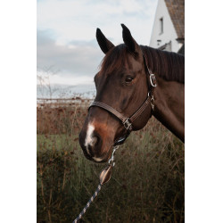 Licol US avec Ajustements Dy'on Working Collection Marron Licol US avec Ajustements Dy'on Working Collection Marron