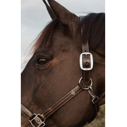 Licol US avec Ajustements Dy'on Working Collection Marron Licol US avec Ajustements Dy'on Working Collection Marron
