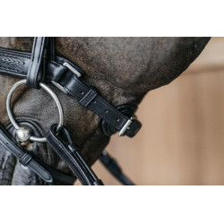 Gevlochten gecombineerde neusriem met Pull pack Dy'on New English Collection Zwart