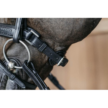 Gevlochten gecombineerde neusriem met Pull pack Dy'on New English Collection Zwart