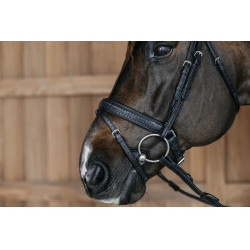 Gevlochten gecombineerde neusriem met Pull pack Dy'on New English Collection Zwart