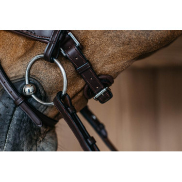 Gevlochten gecombineerde neusriem met Pull pack Dy'on New English Collection Gevlochten gecombineerde neusriem met Pull pack Dy'on New English Collection