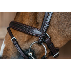 Gevlochten gecombineerde neusriem met Pull pack Dy'on New English Collection Bruin Gevlochten gecombineerde neusriem met Pull pack Dy'on New English Collection Bruin